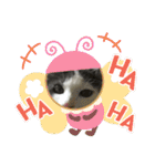 大西家のサスケ（個別スタンプ：9）