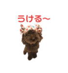 イヌとネコのスタンプ（個別スタンプ：6）