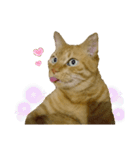 べーねこ スタンプ（個別スタンプ：1）