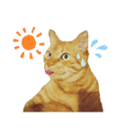 べーねこ スタンプ（個別スタンプ：6）