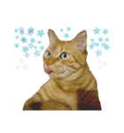 べーねこ スタンプ（個別スタンプ：10）