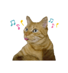 べーねこ スタンプ（個別スタンプ：13）