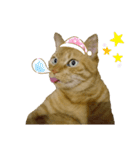べーねこ スタンプ（個別スタンプ：14）