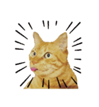 べーねこ スタンプ（個別スタンプ：25）