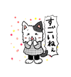 ねこばあちゃん（個別スタンプ：14）