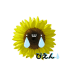 太陽が出ないと枯れちまうよ（個別スタンプ：10）