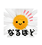 太陽が出ないと枯れちまうよ（個別スタンプ：19）