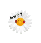 太陽が出ないと枯れちまうよ（個別スタンプ：22）