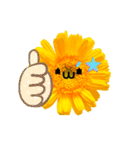 太陽が出ないと枯れちまうよ（個別スタンプ：27）