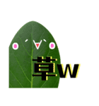 太陽が出ないと枯れちまうよ（個別スタンプ：35）