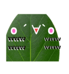 太陽が出ないと枯れちまうよ（個別スタンプ：36）