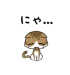 ねこ語になるスタンプだにゃ！（個別スタンプ：3）