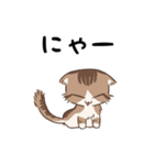 ねこ語になるスタンプだにゃ！（個別スタンプ：6）