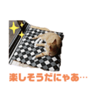 リンちゃんのスタンプ01（個別スタンプ：6）