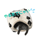 日常で使えるにゃんにゃんこスタンプ（個別スタンプ：22）