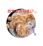 まーたんスタンプ3（個別スタンプ：6）