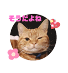 まーたんスタンプ3（個別スタンプ：15）