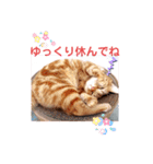 まーたんスタンプ3（個別スタンプ：20）
