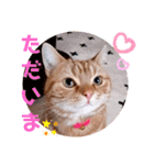 まーたんスタンプ3（個別スタンプ：22）