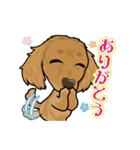 ミックス犬のココ（個別スタンプ：5）