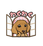 ミックス犬のココ（個別スタンプ：6）