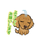 ミックス犬のココ（個別スタンプ：8）