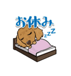 ミックス犬のココ（個別スタンプ：15）