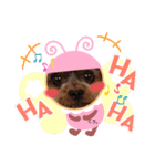 ワンcスタンプ（個別スタンプ：1）