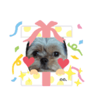 ワンcスタンプ（個別スタンプ：2）