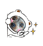 ワンcスタンプ（個別スタンプ：3）