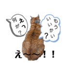 It doesn't stamps（個別スタンプ：2）