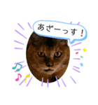 It doesn't stamps（個別スタンプ：3）
