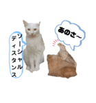 It doesn't stamps（個別スタンプ：4）