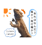 It doesn't stamps（個別スタンプ：6）
