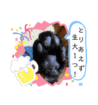 It doesn't stamps（個別スタンプ：8）