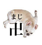 こげめスタンプ(おれ、こげめ編)（個別スタンプ：4）