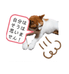 There is a daily life（個別スタンプ：3）