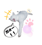 There is a daily life（個別スタンプ：4）