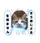 There is a daily life（個別スタンプ：5）
