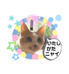There is a daily life（個別スタンプ：8）