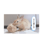 江上家のじゃがいもが可愛すぎる（個別スタンプ：7）