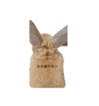 江上家のじゃがいもが可愛すぎる（個別スタンプ：11）