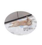 江上家のじゃがいもが可愛すぎる（個別スタンプ：20）