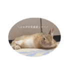 江上家のじゃがいもが可愛すぎる（個別スタンプ：21）