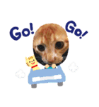 にゃザラシ（個別スタンプ：14）