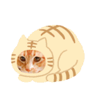 にゃザラシ（個別スタンプ：24）