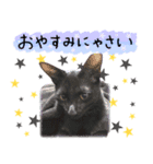 ◆黒猫◆はるくんの元気な日常♪（個別スタンプ：3）