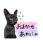 ◆黒猫◆はるくんの元気な日常♪（個別スタンプ：5）