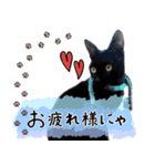 ◆黒猫◆はるくんの元気な日常♪（個別スタンプ：6）