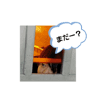 うちのコかわいい1（個別スタンプ：3）